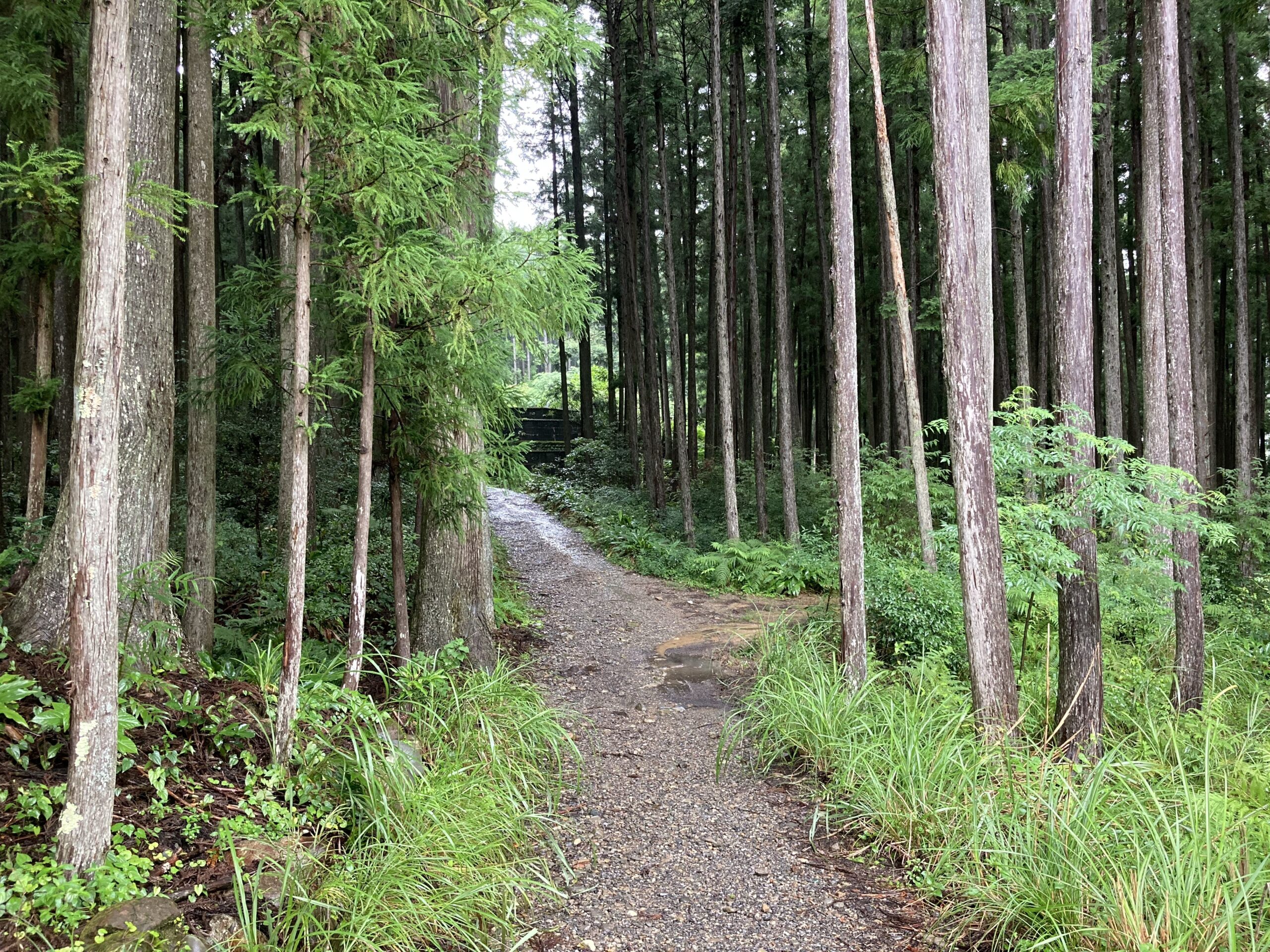 熊野古道の写真