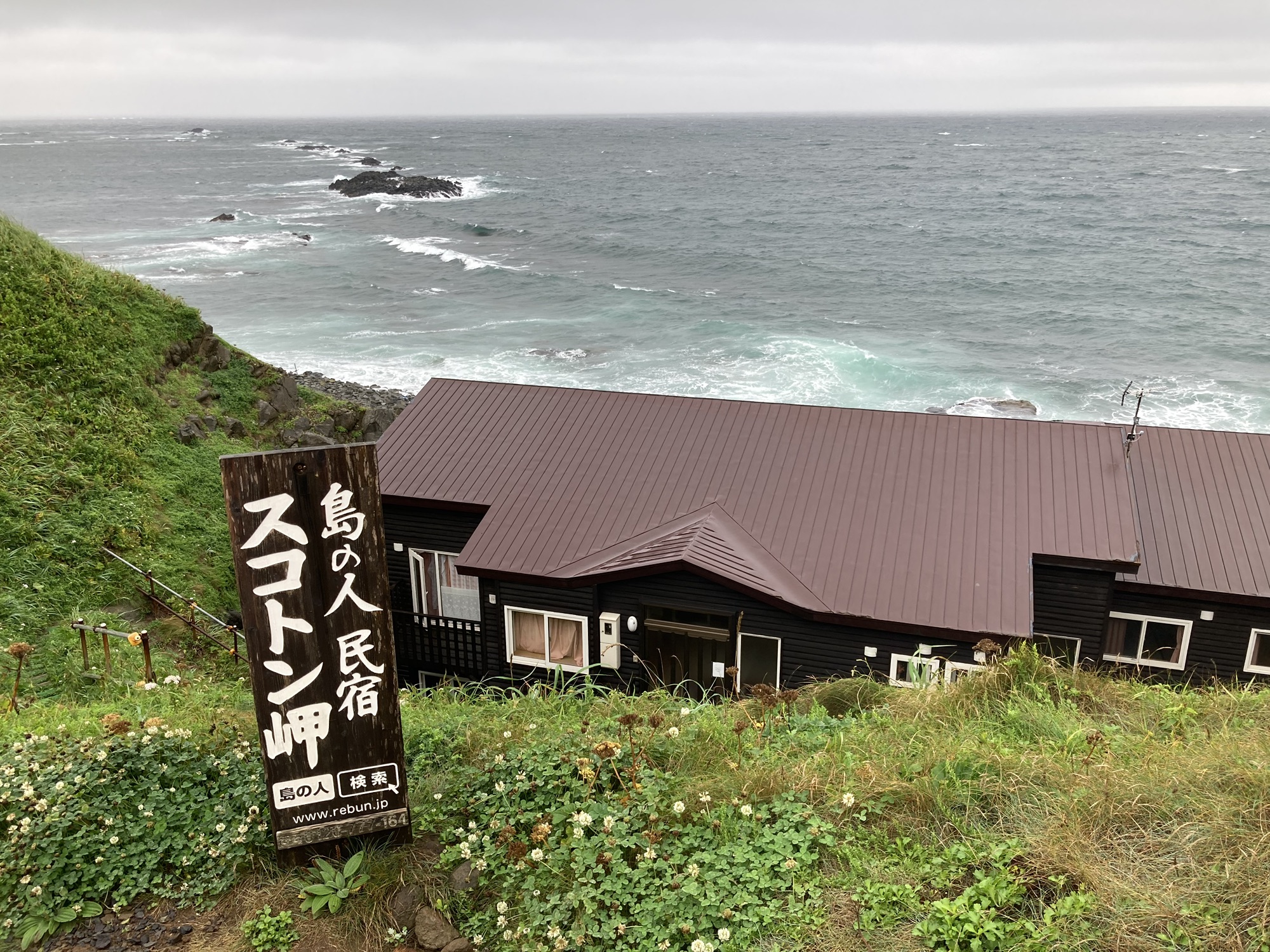 【50代夫婦で北海道旅】真夏の稚内からフェリーで礼文島へ！半日礼文島観光