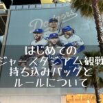 はじめてのドジャースタジアム観戦！持ち込みバッグとルールについて