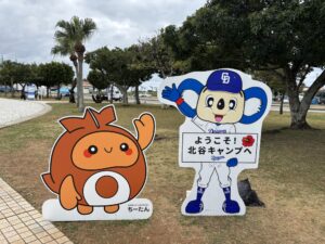 【夫婦旅】プロ野球キャンプ開催の2月に初の沖縄旅行へ2泊3日