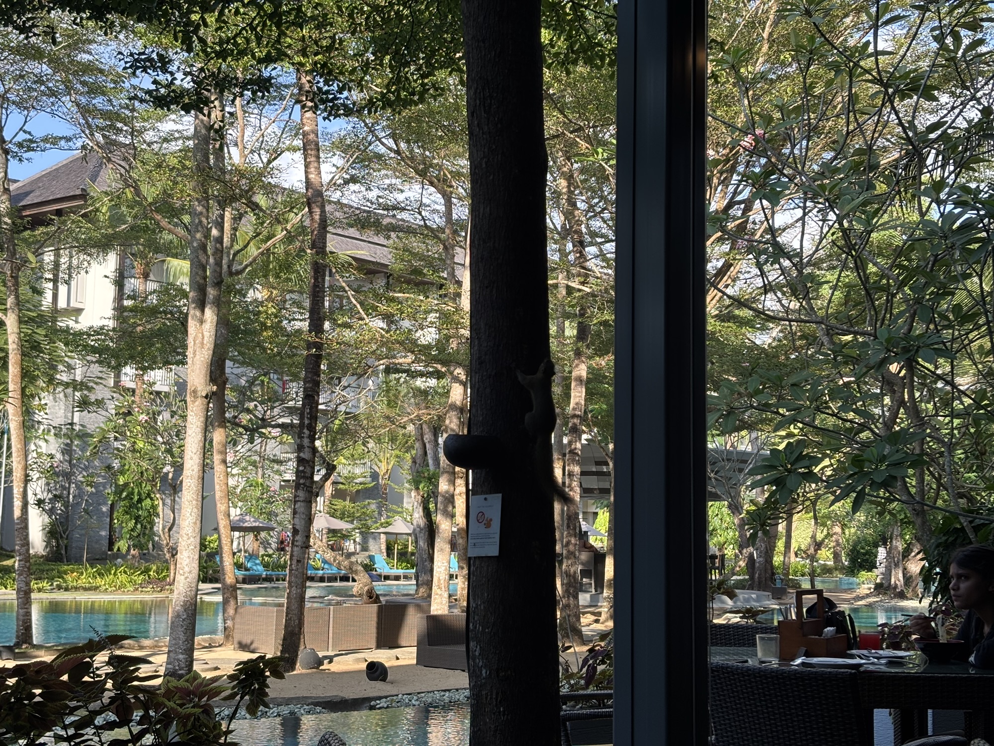 【夫婦バリ旅行】プラチナ特典満喫コートヤードバイマリオットバリ