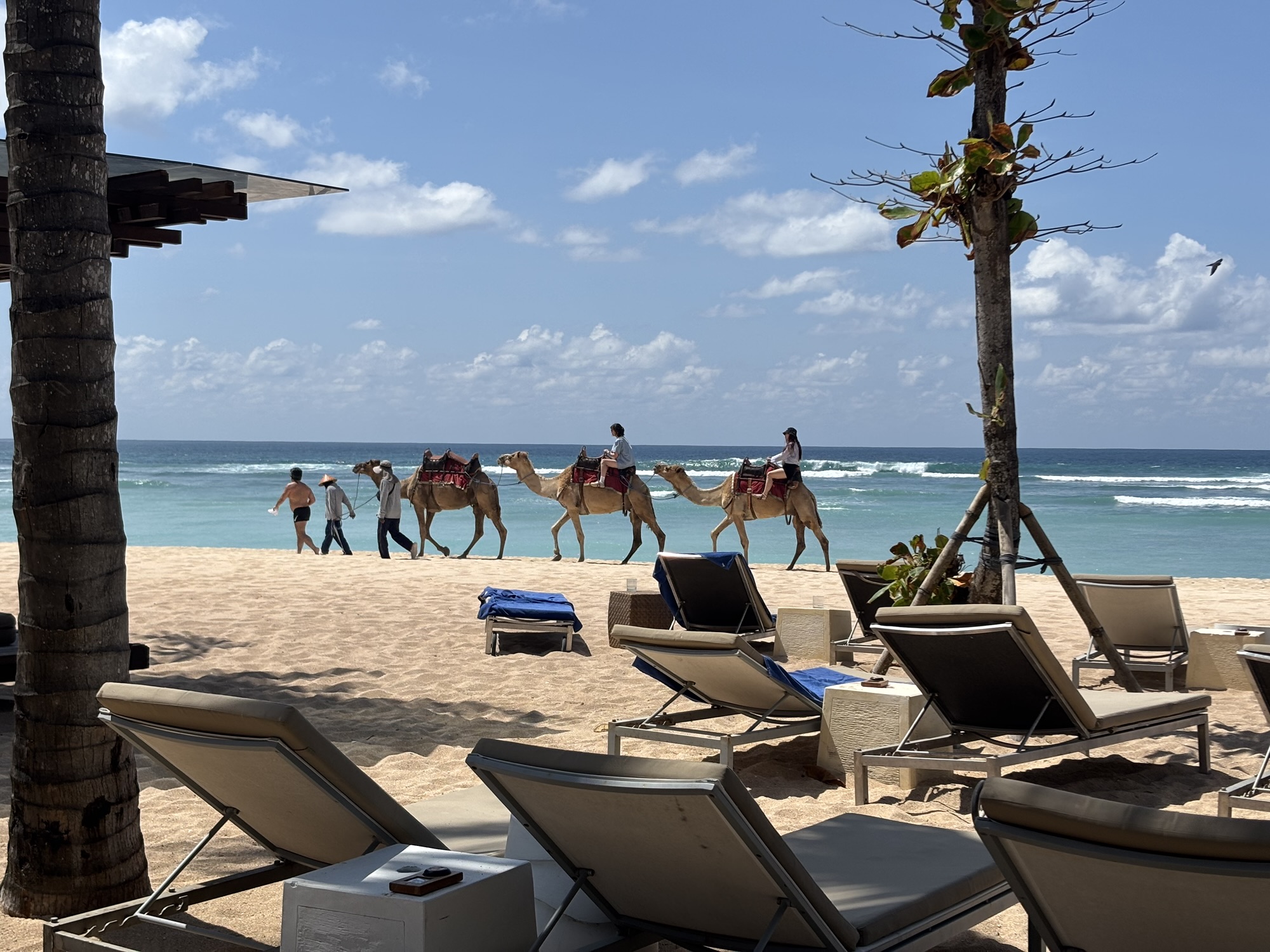 【夫婦バリ旅行】マリオットプラチナ特典満喫ザリッツカールトンバリ宿泊